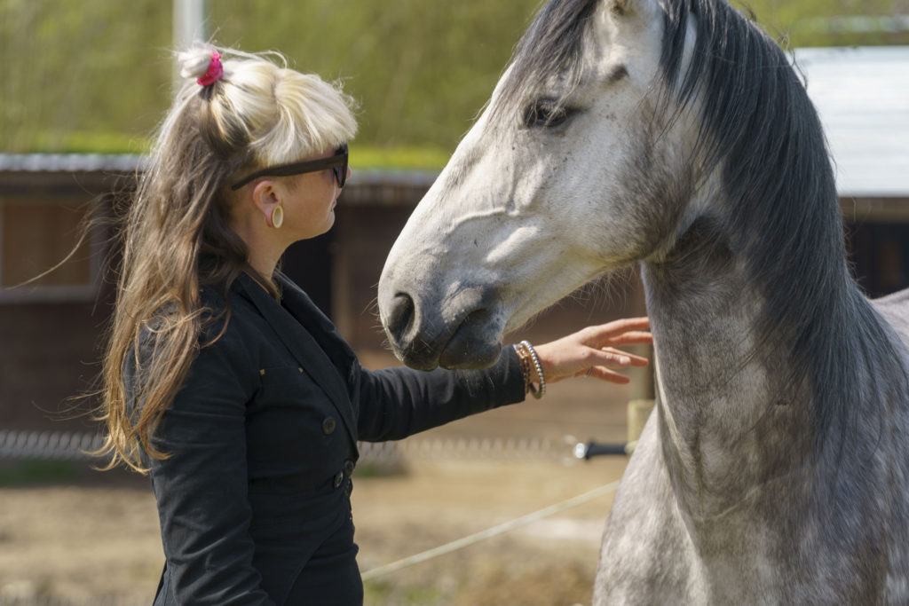 Le Tzigane équipe équine Horse-Manity