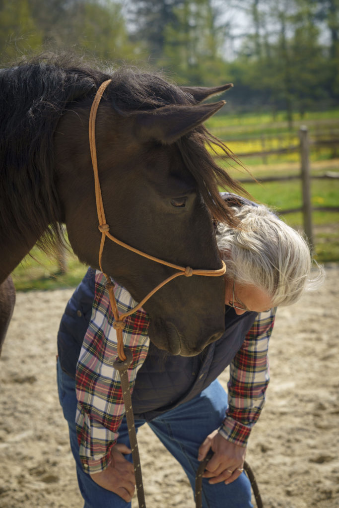 Jean équipe Horse-Manity