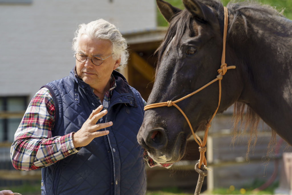 Jean équipe Horse-Manity