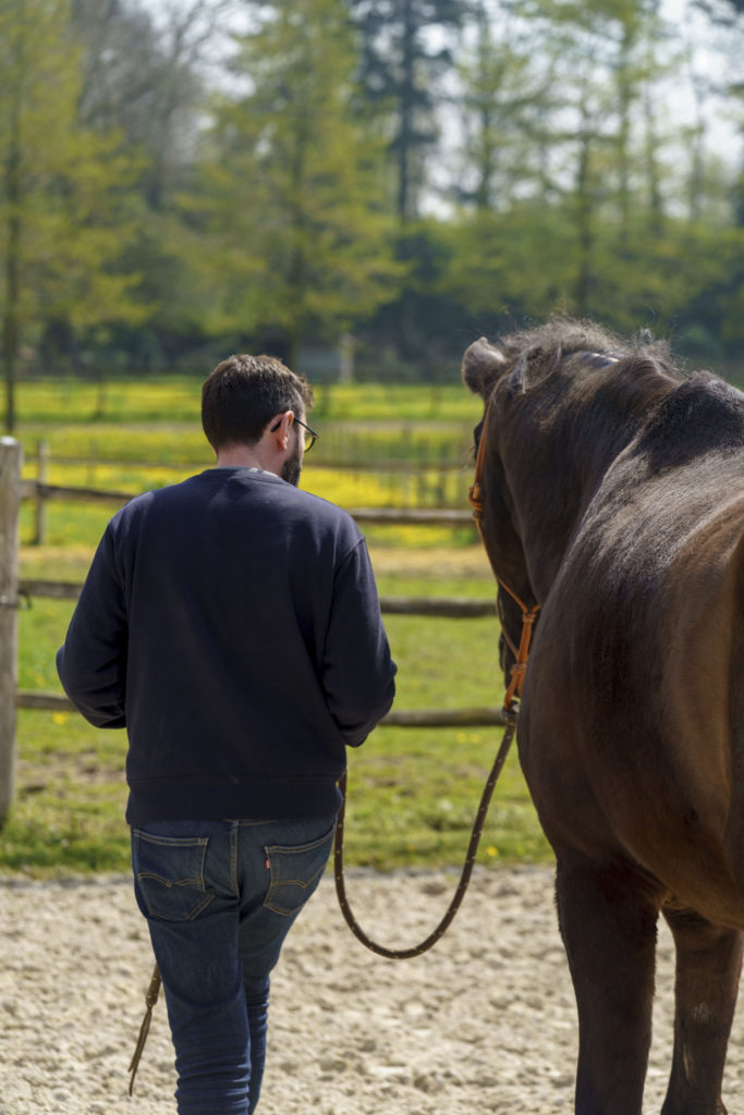 Equicoaching particulier Horse-manity