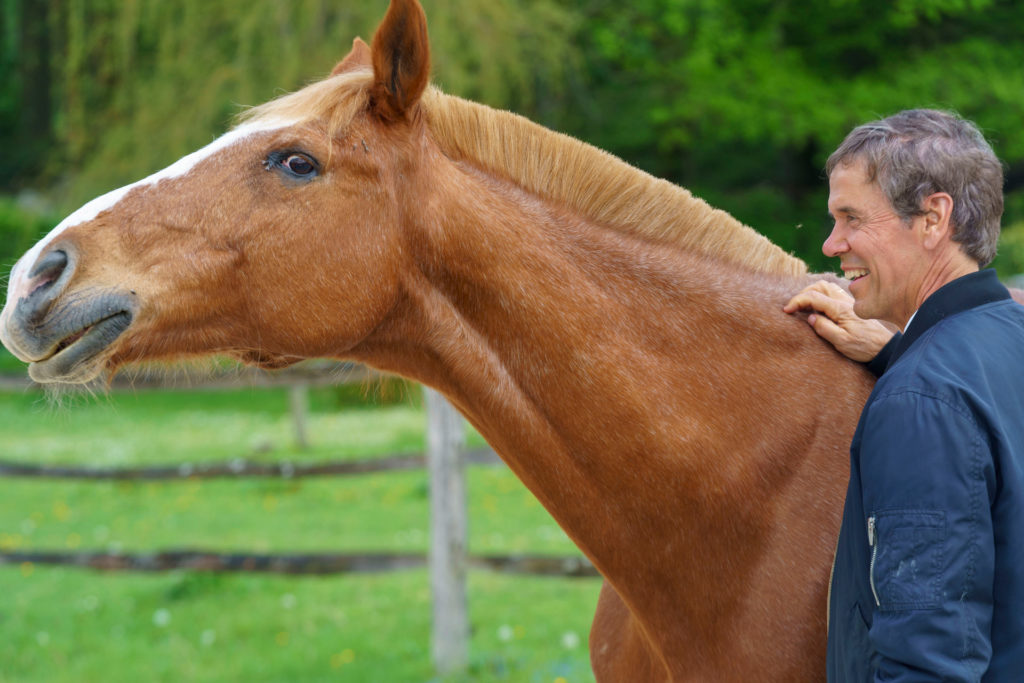 Le poilu équipe équine Horse-Manity