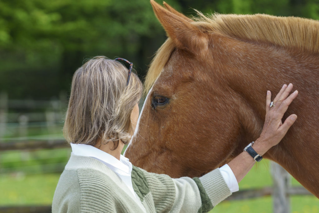 Equicoaching particulier Horse-manity