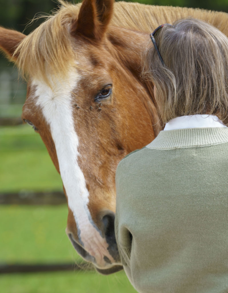 Horse-Manity Riders' clinic