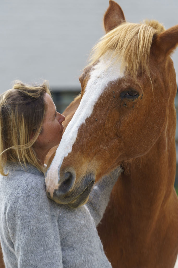 Horse-Manity Riders' clinic