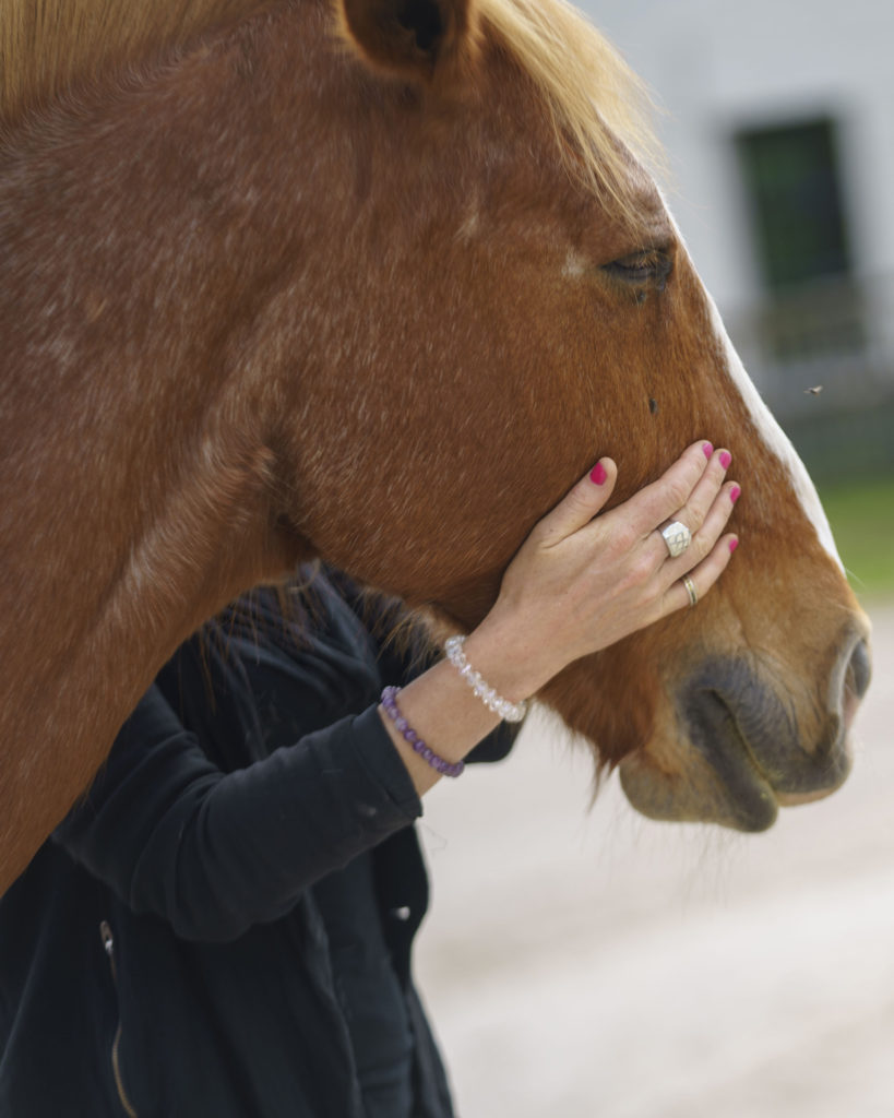 Horse-Manity Riders' clinic