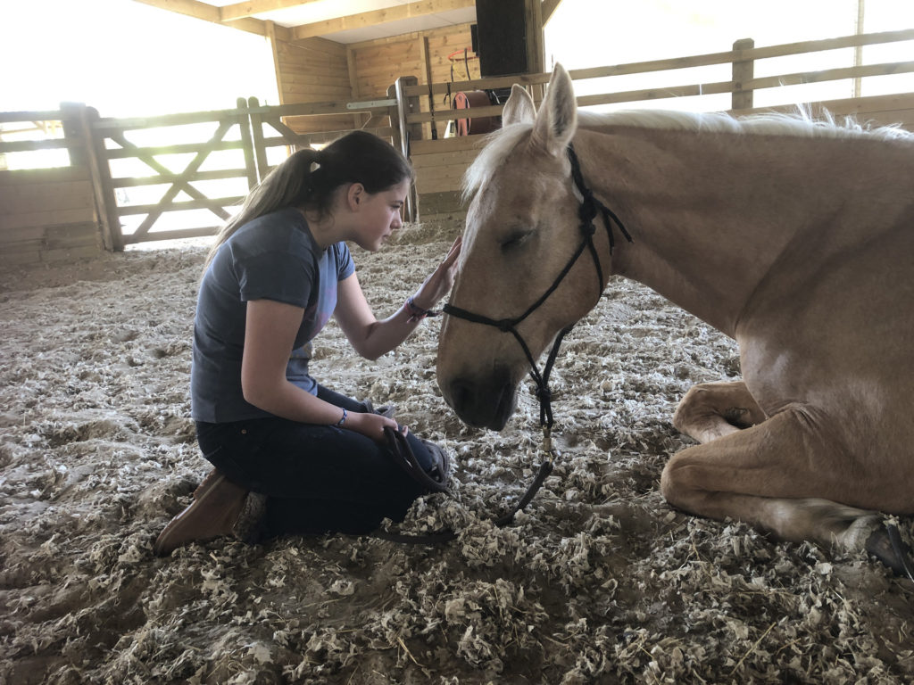 Equicoaching particulier Horse-manity