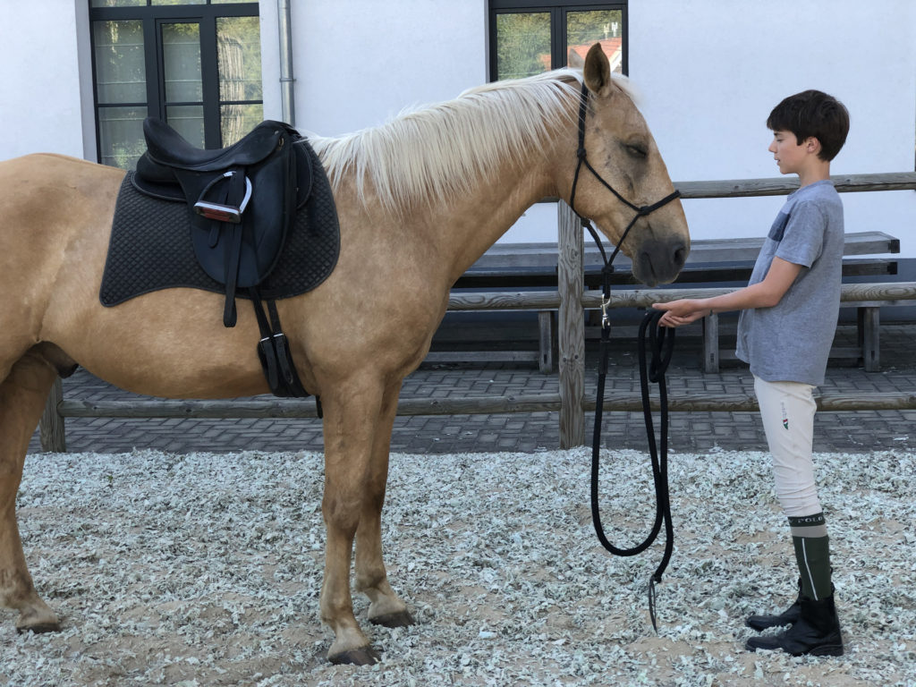 Horse-manity Riders’ clinics